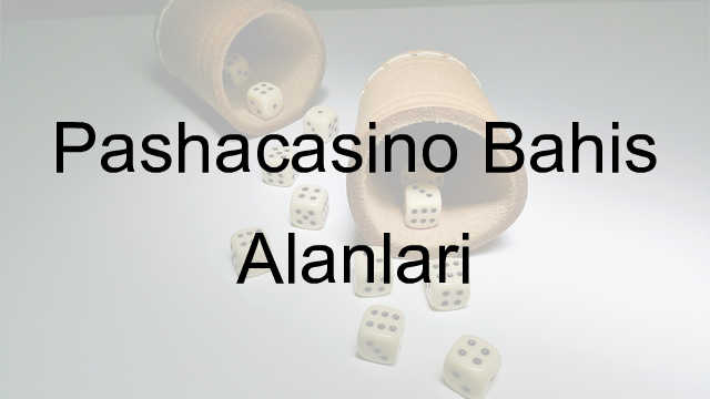 Pashacasino Bahis